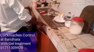 Pest control service Dhaka Bangladesh