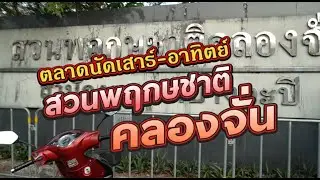 ตลาดนัดสวนพฤกษคลองจั่น