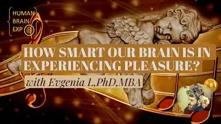 How Smart Our Brain Is In Experiencing Pleasure? - Human Brain Expo.