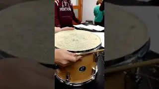 Sound wave. Rice on a drum.