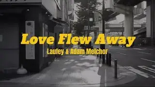 Love flew away - Laufey & Adam Melchor lyrics