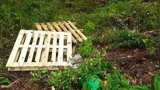 Boardman Hill Roadside Dumping