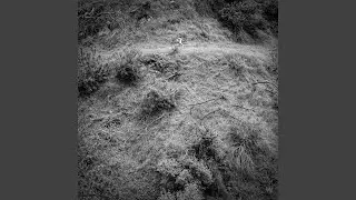 Badlands