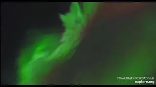 Aurora borealis. Churchill, Manitoba, Canada. explore.org, October 10, 2024
