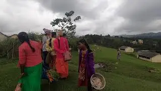 Mannavanur Sheep Farm, Kodaikkanal - മന്നവനുർ ആട് ഫാം