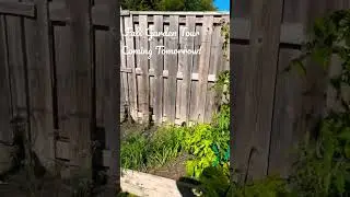 Fall Season - Garden Tour! #shorts #shortvideo #gardening #gardentour #gardeningtips