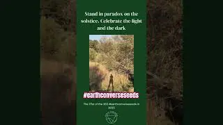 Stand in paradox on the solstice! Day 171 of the Earth Converse seed drop in 2025.
