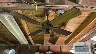 Moss Tropical Breeze View Fan ceiling fan with switch housing