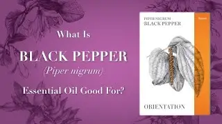 What is Black Pepper Essential Oil Good for? Video 1 of 2