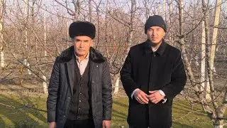 🍒Гилас өстүрүү боюнча Сидикжон Бутабоев устаздан маек 🍒