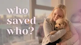 Who Really Saved Who? My Agoraphobia & Rescue Dog Story (Starting Our Foster Journey)