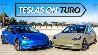 How these Teslas made us $45,000 in 2021 | The Fleet