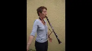 Taking Off: 7  Clarinet Support and 'toilet training'    SD 480p