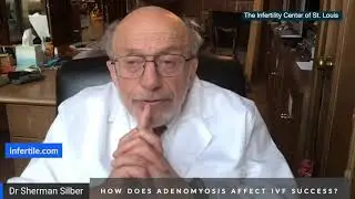 Dr Silber March 2021 - How does adenomyosis affect IVF success?