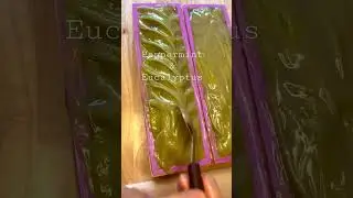 Peppermint & eucalyptus soap , essential oil soap, diy, hemp and shea butter soap