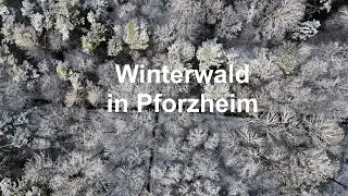 DJI mini 4 pro: Winterspaziergang am Erzkopf in Pforzheim