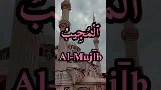 Call Upon Allah, Al-Mujib Will Answer | 99 Names of Allah #shorts