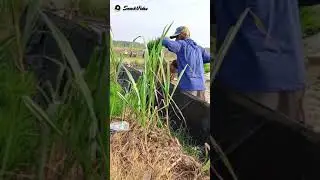 #jiwa petani