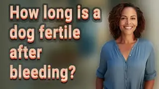 How long is a dog fertile after bleeding?