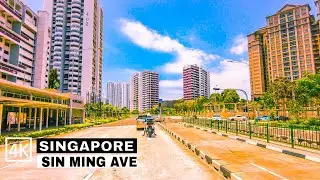Singapore City Driving View | Farrer Road | Lornie Highway | Bishan Town Driving Tour