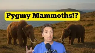 Pygmy Mammoths & Giant Mice: Island Syndrome