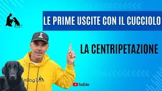 Le prime uscite con un cucciolo, la centripetazione!