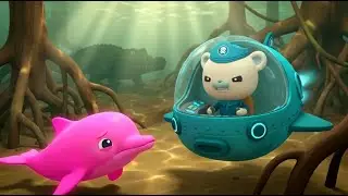 Amazon Flash Flood Rescue! 🌊 Octonauts Save the Pink River Dolphins! 🐬 Full Episode