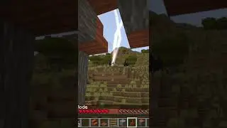 Why Are There 2 Spawn Eggs