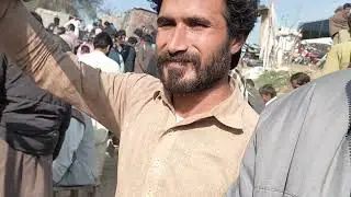 New Pigeons In Layyah Market | Mandi Main Both Zyada Rash | Gola Pigeon market