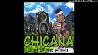 Chicana 2007 - Pegando a Saideira