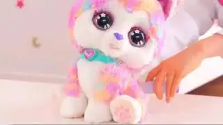 a plaster and addiction￼￼ for hope the rainbow husky by vtech mean v-tech