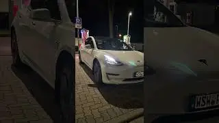 Tesla Model 3 LR BJ 09/2020 KM: 117.000, SoH/Batteriezustand: 86 % #tesla #batterycheck