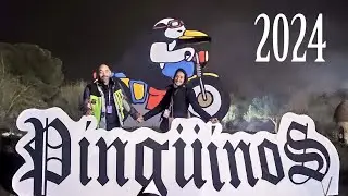 Pingüinos 2024 Valladolid 🐧🐧🐧