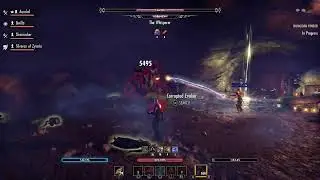 Vet Dungeons - Blame the tank - Nightblade Duel wielder build
