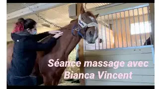 Un massage pour mon cheval ? Et oui !