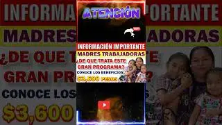 🔴💸&iquest;De qu&eacute; trata el programa para madres solteras trabajadoras?🥳