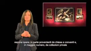 MACERATA MUSEI   720 LIS