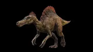 Spinosaurus | Spino Dinosaur(ShortVer)