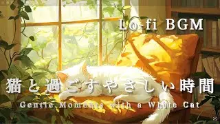 Ad-Free | Relax with a White Cat by the Window - Lofi Chill BGM for Study, Work, and Reading