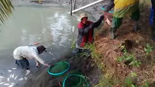 ปลาบ่อ*ชัช*ครับ