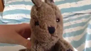 evil quokka attacks quokka