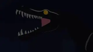 night feeder