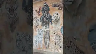 Обзор зоопарка Rak Zoo в Рас Эль Хайм