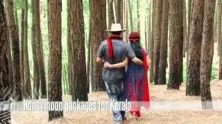 Honeymoon Packages in Kerala