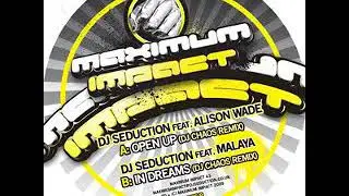DJ Seduction Feat. Alison Wade - Open Up (DJ Chaos Remix)