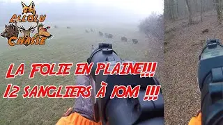 GROSSE COMPAGNIE EN PLAINE!! 12 SANGLIERS &agrave; 10M!! Saison de chasse 2021-2022!