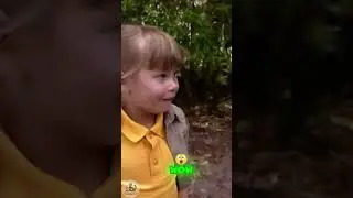 Steve Irwin introduces his daughter Bindi to her baby brother Robert ❤#steveirwin #babys #love