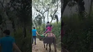 A vender carne 🥩 s&iacute;gueme si te gusta mi contenido #gospelmusic #musica #music #greenscreenvideo