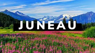 Juneau -  Micro Meditation | Mendenhall Glacier, Glacier Bay, Glacier National Park