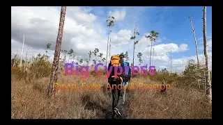 Big Cypress Florida Trail Southern Terminus Overnight hike